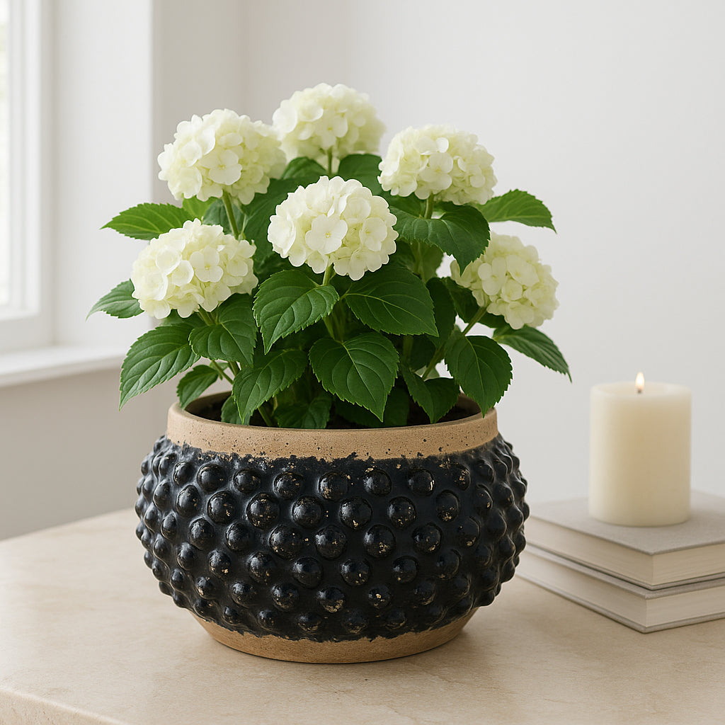 Flower Pots and Planters for Home Decor – Textured Pot for Indoor and Outdoor Display – Unique Design That Enhances House, Garden, and Patio Decor – Bring Style to Every Space – 7" Black & Brown