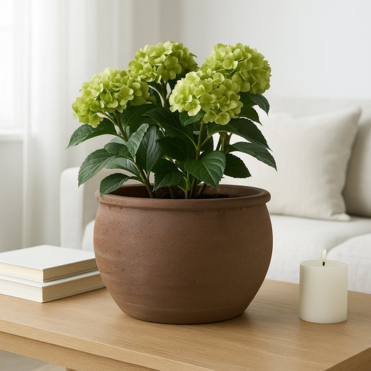 Rustic Flower Pot and Planter for Home Decor – Wide Round Plant Pot for Indoor Plants or Outdoor Garden – Traditional Clay Design That Adds Timeless Charm to Porch, Patio, or Entryway – 9" Brown