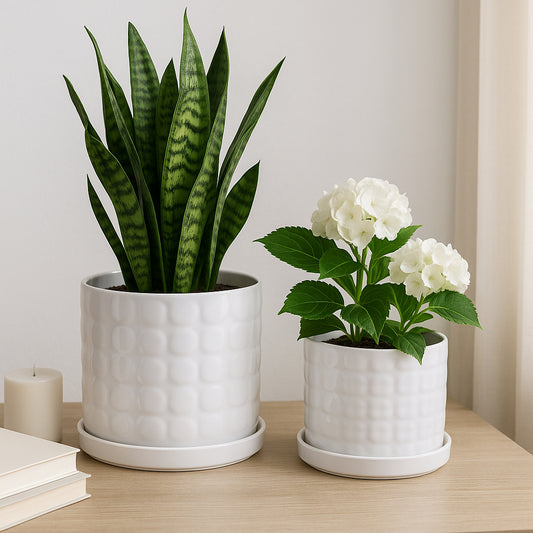 Flower Pots and Planters for Home Decor – Modern Pots for Plants for Succulents or Houseplants – Indoor and Outdoor Planters for Garden or Patio – Bring Calm to Your Space Set of 2 – 7", 6" White