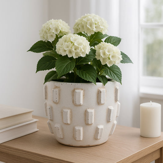 Home Decor Planter and Flower Pot – Ceramic Plant Pot for Indoor or Outdoor Succulents and Houseplants – Unique Sculptural Design That Elevates Room, Garden, Patio, or Shelf Decor – 7" White