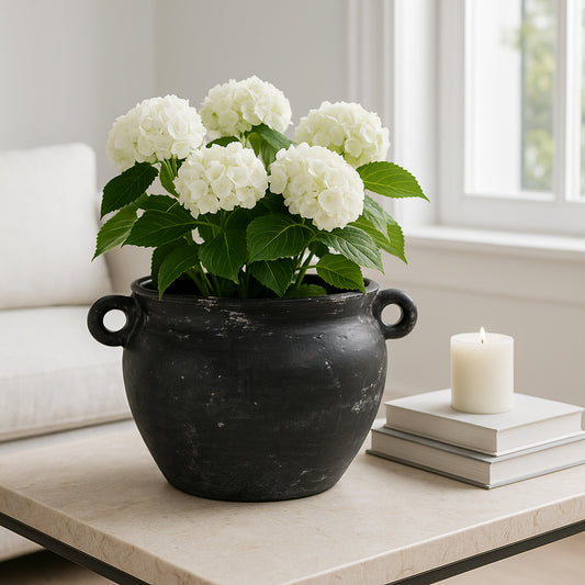 Flower Pot for Home Decor – Large Ceramic Planter with Sculpted Handles for Indoor Plants or Outdoor Display – Decorative Plant Stand for Room, Garden, or Patio Decor and Entryway Design – 8" Black