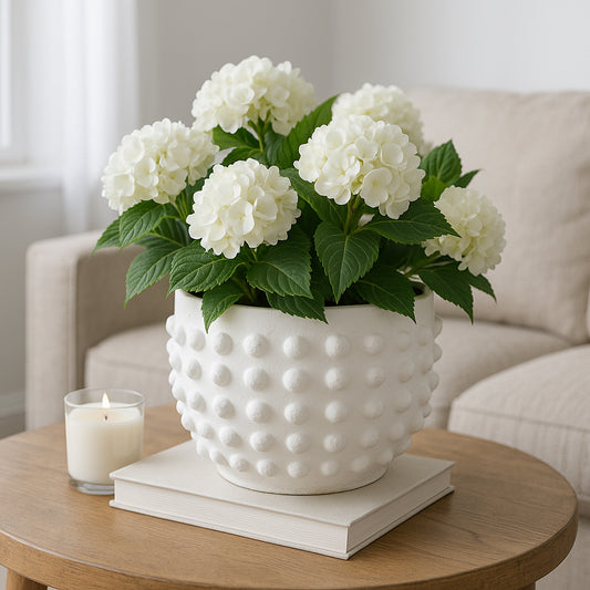 Planter and Flower Pot for Home Decor – Modern Pot for Indoor and Outdoor Plant Stand – Perfect Plant Pot for Room, Patio, and Garden Decor – Bubble Texture That Brings the Charm – 6" White