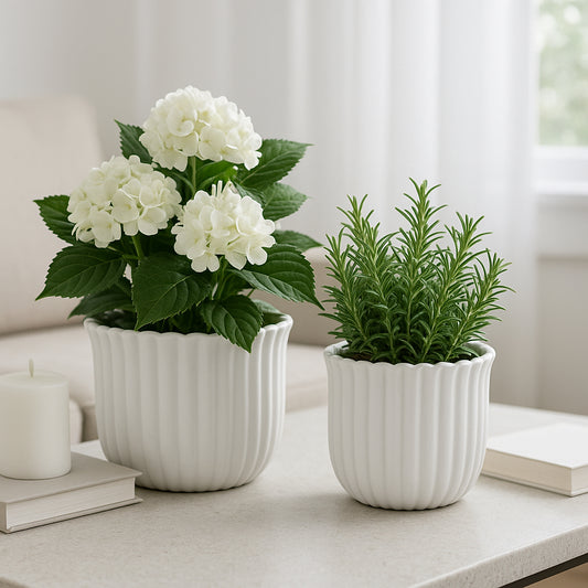 Ceramic Flower Pots for Home Decor – Elegant Fluted Planters for Indoor and Outdoor Succulents and Houseplants – Modern Plant Pots for Living Room, Bedroom, or Patio Decor Set of 2 – 6", 5" White